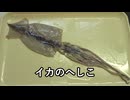 イカのへしこ【長火鉢とおっさん 461】