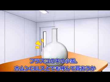 フラスコの中の小雪