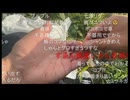 七原くん2026年7月25日 第二回！狙え！カミツキガメ！リベンジ 1⑤