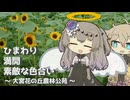 【VOICEVOX旅行】ひまわり 満開 素敵な色合い  ～大宮花の丘農林公苑～【ラップっぽいなにか】