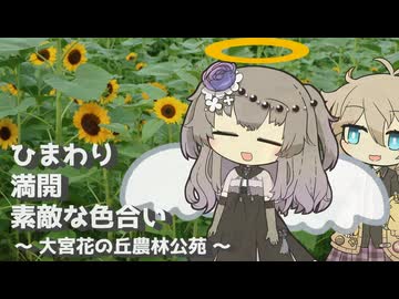 【VOICEVOX旅行】ひまわり 満開 素敵な色合い  ～大宮花の丘農林公苑～【ラップっぽいなにか】