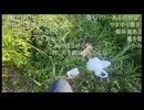 七原くん2026年7月25日 第二回！狙え！カミツキガメ！リベンジ 1⑥