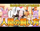 擬人化ブイズたちと学ぶ人間の飼い方【ゆっくり実況】【ポケモン擬人化】