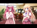 花色ヘプタグラム　プレイ動画　パート6