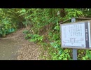 【散歩】千葉県柏市増尾を歩く【鰭ヶ崎三本松古墳発増尾行き編 part9①】