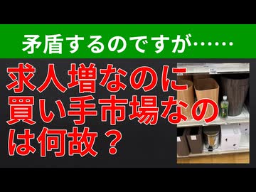 【テーマ：家庭用ゲームメーカーの人材要件の検証2026】第313回まてりあるならじお