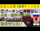 【プーチン大統領前に進むしかない悲劇】核攻撃の可能性が高まる懸念【インドよええ加減にしろ】高速鉄道計画が一向に進まず中国人ですら日本人に同情 #インド #日本 #高速鉄道 #中国