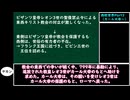 【VOICEVOX解説】世界史ざっくり解説　西欧世界Part3 　（カール大帝～）【biimシステム】