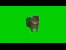 祝！一万再生ありがとう記念！！【猫ミーム】猫なの / 恩田 貴則（TAKANORI ONDA）歌ってみた！ #猫ミーム #猫なの #歌ってみた