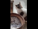 ほりﾆｷ