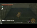 【ゼルダの伝説】北ローメイ城跡のファントムガノン　ゼルダの伝説ティアーズオブザキングダムNintendo Switch 2 Edition