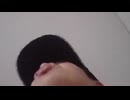 【ware255(矢野光一)完全敗北】矢野くん、俺ら(阿部、堀内)にビビって逃げたねぇぇぇwwwwww