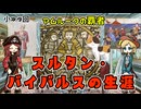 名前は有名だけど実はよく知らない、バイバルスの人生