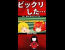 お人形さんだと思ったら・・・ビックリした本当に