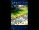 松本市にあった川（2025年5月　長野県松本市撮影）