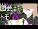 園芸部トモ　#1ポーチュラカ・ウェルデルマニー