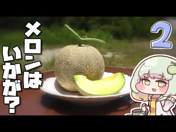 新鮮なメロンを一切れいかがですか？２