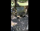 【水琴窟】浮御堂 洞水門