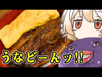 うなぎのきんし丼【ナースロボ】