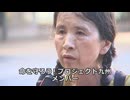 なかのひとのアンテナ！「移民政策反対デモ　福岡 久留米」vol.6