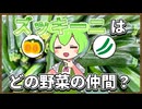 ずんだもんのたべもののヒミツ　‐ズッキーニのヒミツ‐
