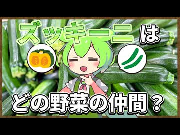 ずんだもんのたべもののヒミツ　‐ズッキーニのヒミツ‐