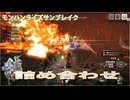 【MHRise:SB：継承の狼龍娘】急用により傀異編を先行公開します【メルゼライト】【一般通過狼娘】