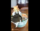 【召喚】マリエルさんのヌードルストッパー