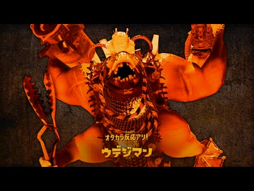 【プレイ動画】 Splatoon RAIDERS Part23