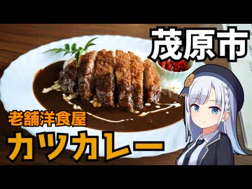 【車載】茂原の味わいがある洋食屋でカツカレー【千葉県のグルメ】
