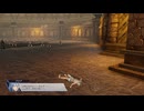 ファイアーエムブレム無双　アクア　４８
