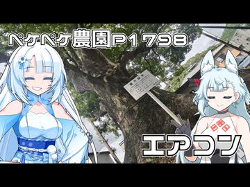 2026年7月26日　日記1798　電気屋さんのお手伝いをしながら、先日の家具を届けた