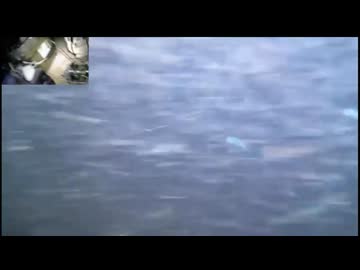 #010 2024/8/23 【水温30℃】メインカメラ実験を兼ねて魚を見る　チャンネル復活で同時配信【水中実況#U004】