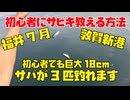【初心者にサビキ釣りを教える方法】福井県 敦賀新港で初心者にサビキ釣りを教えたら巨大な18cmのサバ鯖が釣れました！