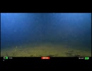 #012 2024/8/30【水中実況#UC005】ついに新型カメラデビュー！！！か？