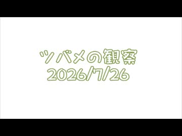 つばめの観察2026No032