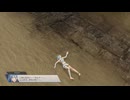 ファイアーエムブレム無双　アクア　４９