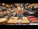 【第２５話】くま太、回転寿司屋で働く