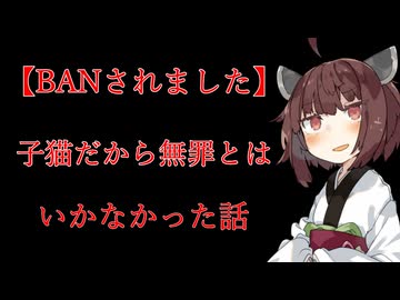 【こんな動画はBAN】子猫だから無罪とはいかなかった話【VOICEVOX：東北きりたん】