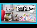 【めっちゃカメレオン】堂々と隠れていたら案外見つからない説！