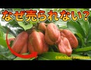 クリーミーで絶品の国民的果物アキーが日本のスーパーに並ばない理由【解説動画】