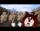 進撃の熊