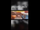 愛して愛して愛して／Kikuoを弾いてみた