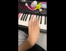 ナイト・オブ・ナイツ（左手）