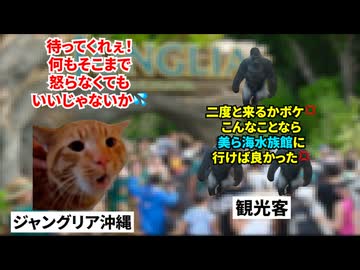 【ジャングリア沖縄】開業4ヶ月で客離れが加速！？やりすぎ誇大CMで炎上した大型テーマパーク #猫マニ #猫ミーム