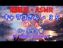 【睡眠用】  九州そら（ささやき）  ” キャラコさん・３５（  鴎・九  ） ” （ 作・久生十蘭 ）  【ASMR】
