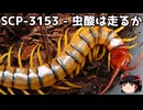 ゆっくりと一緒にSCPを紹介したい！その346【SCP】