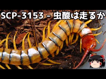 ゆっくりと一緒にSCPを紹介したい！その346【SCP】