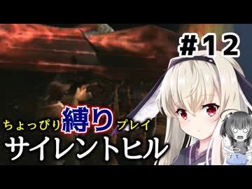ちょっぴり縛りで【サイレントヒル】を一人と一羽がプレイ part12