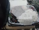トンカツ弁当　光をありがとうございます　他者を照らすものは自らも照らされる　Tonkatsu Bento: Thank you for the light　炸猪排便当　感谢光明